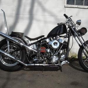 Meet your Posher, Ronnie